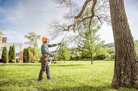 Best Emergency Tree Removal Services  in USA